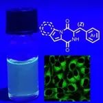 JACS: 活细胞内肽基半哌嗪光开关荧光团的可视化调控
