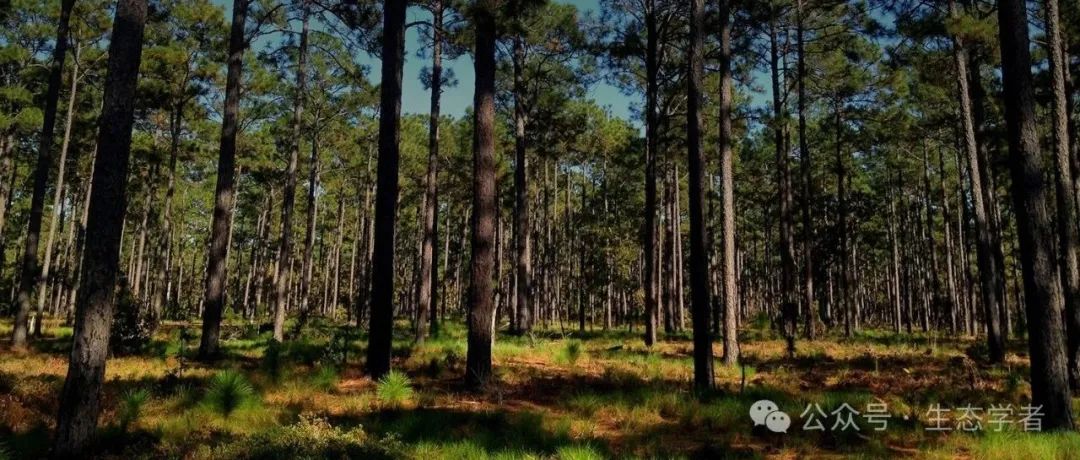 复旦大学聂明团队Nature Climate Change和GEB最新成果！