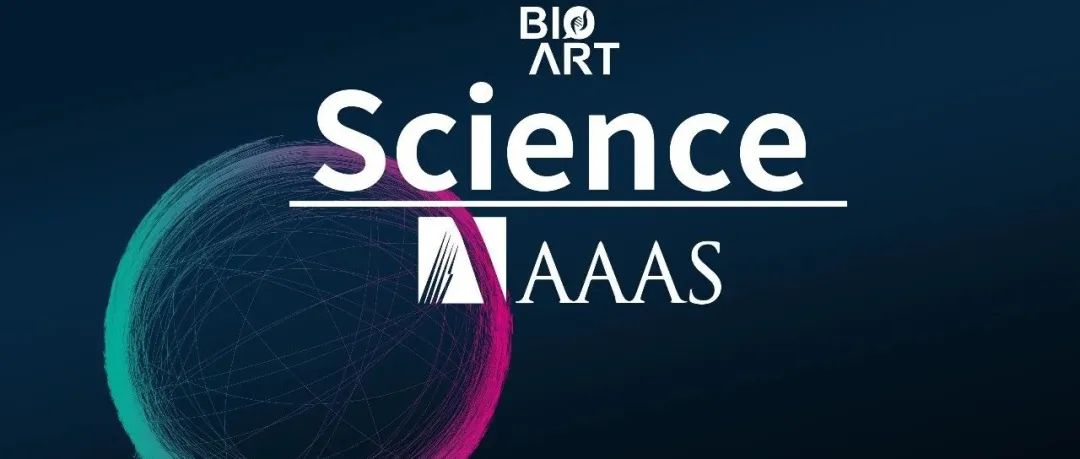 Science丨David Baker团队开发从头设计内在无序肽段的通用蛋白设计框架