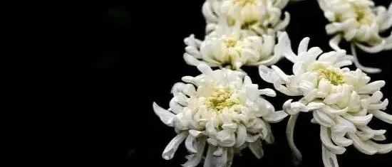 【讣告】温明荣先生讣告