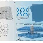研究前沿：DNA莫尔超晶格-核酸功能材料-折纸 | Nature Nanotechnology