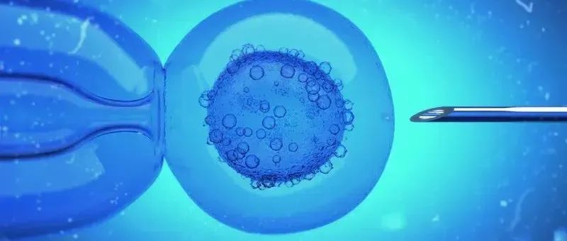 黑洞数学：100+140=225 ; 八名拥有“三个父母”基因的孩子降生 | 科技趣评