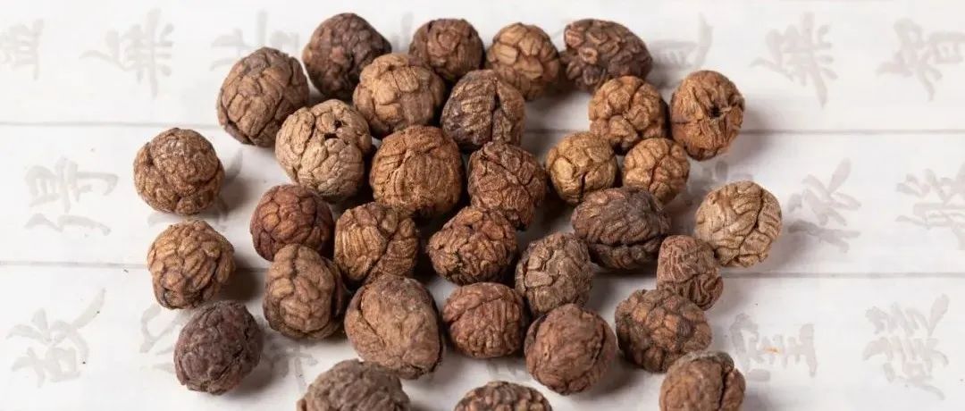 《食品科学》：中国热带农业科学院王茂媛研究员等：草豆蔻及其混用品多酚代谢物与抗氧化活性分析