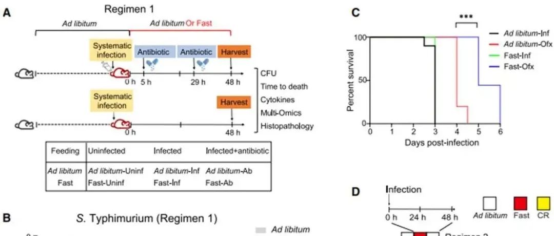 Cell Metab | 复旦大学吕亮东揭示禁食诱导的酮体生成增强抗生素杀菌效果研究背景