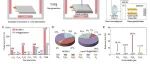 PNAS：锂电池装上“智能灭火器”——中科院化学所张莹、郭玉国、白春礼在热失控预防方面取得进展