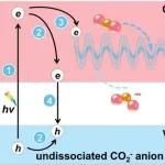 (纯计算)内蒙古大学/北京师范大学ACS Catal.: 表面重构促进SrTiO3(001)表面上的CO2活化