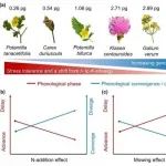 Functional Ecology | 河北大学韩兴国/姜勇团队发现氮沉降改变草甸草原植物物候期受植物基因组大小和功能性状影响