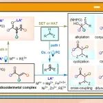 【Acc. Chem. Res.】四川大学冯小明/刘小华/曹伟地：手性双氮氧金属配合物催化不对称自由基反应