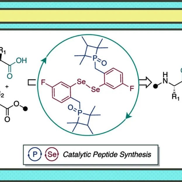 【JACS】纽约大学Paramjit S. Arora：设计新型小分子催化剂实现肽的小分子催化合成并可避免差向异构化