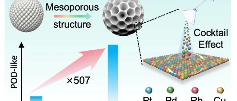 ACS NANO | 介孔中熵合金纳米酶中p-d轨道杂化调控增强类过氧化物酶活性
