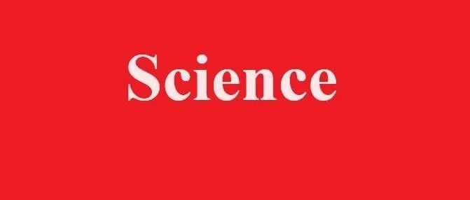 博士生唯一一作，发《Science》！