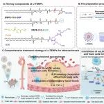 Adv. Mater：靶向病变巨噬细胞的纳米药物可调节胆固醇稳态以治疗动脉粥样硬化