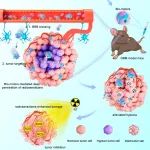 JACS：自推进仿生纳米马达可促进扩散和对流传输以增强实体胶质母细胞瘤放疗