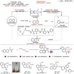 中国海洋大学王洪玉团队/上海有机所赵刚团队：手性脂肪族多环化合物合成领域重要进展