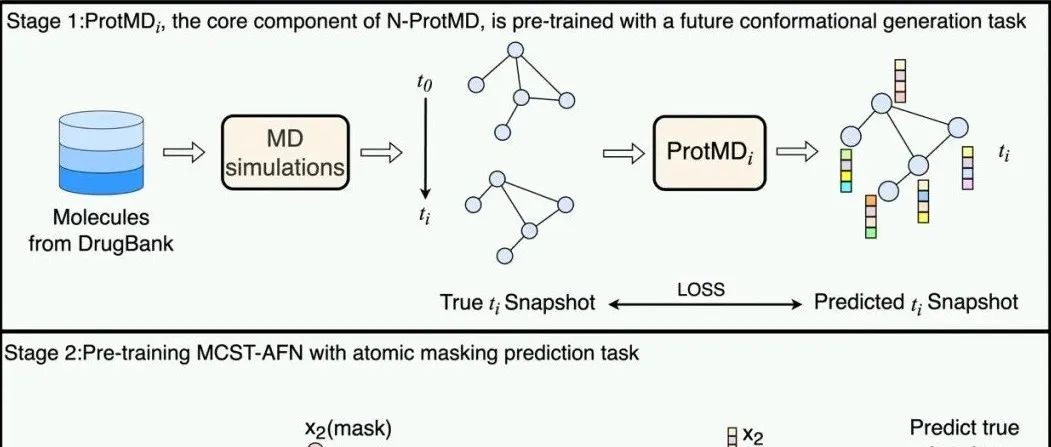 ACS Omega｜南通大学Med-AI团队研发MCST-AFN框架：以低计算成本实现分子性质精准预测，助力药物研发提速