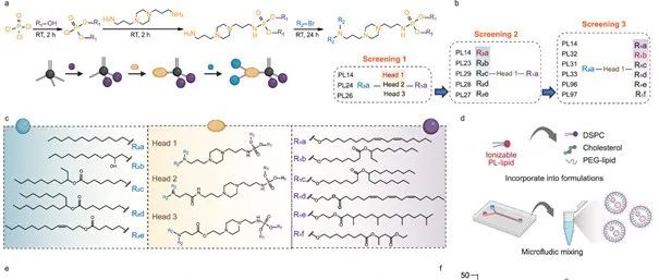 【Nature Communications】攻克慢性肺炎“反应原性”难题：一种新型非炎性mRNA递送平台