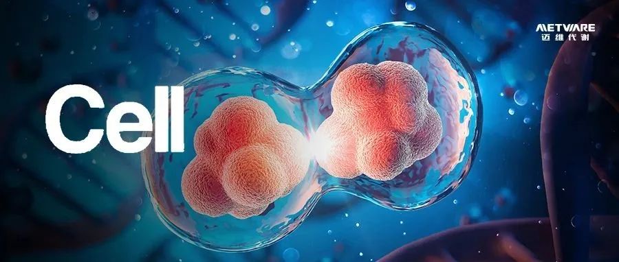 Cell | 葡萄糖剥夺治疗癌症是把“双刃剑”？中山大学最新研究：该方法抑制肿瘤生长但促进癌症转移