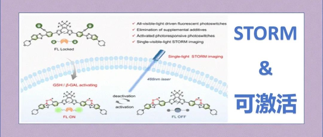 文献分享|使用可激活光开关的单可见光STORM成像