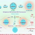 Nano Lett：可激活的肾脏代谢NIR-II发射金纳米探针用于实时监测肾脏谷胱甘肽