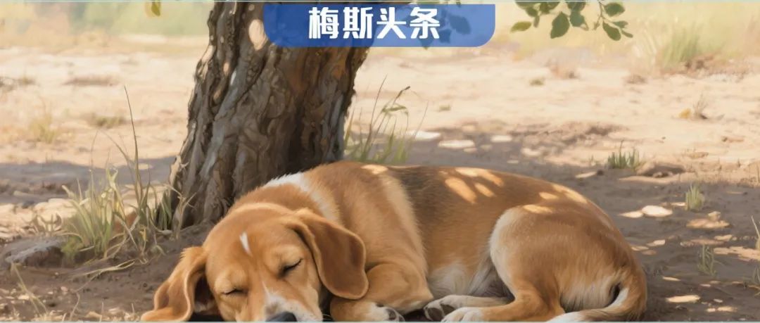 超一半人都缺！上海交大团队发现：补充维生素D不仅肌肉量增加11%，且痴呆风险下降46.8%