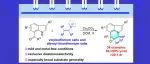 【J. Org. Chem.】西南民族大学李雪锋：吲哚-7-醛与烯基锍鎓盐的氮杂-Michael/环氧化反应合成吡咯喹啉