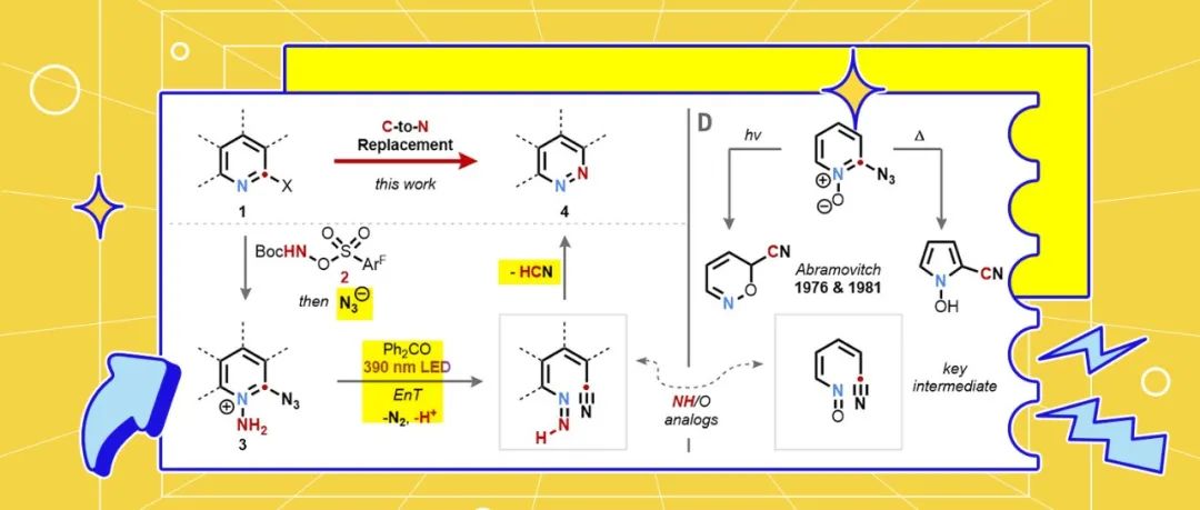 【Science】芝加哥大学Mark D. Levin组：喜忧参半！利用叠氮钠将吡啶C/N替换骨架编辑成哒嗪