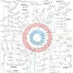 Nat Rev Bioeng｜算法驱动的可持续化学合成新范式