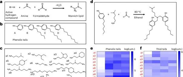 【Nature Biomedical Engineering】通过Mannich反应构建用于mRNA递送的新型抗氧化离子化脂质库