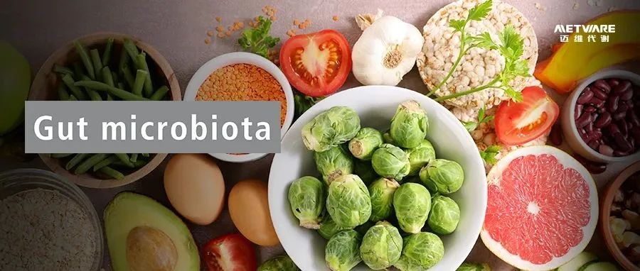 Gut | 地中海饮食/间歇断食/生酮饮食，你pick哪一款？多组学揭示：这种饮食方式可显著改善肥胖相关认知障碍！