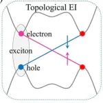 (纯计算)山东大学魏巍/戴瑛团队Nano Lett.: 量子自旋霍尔绝缘体TlX中的激子不稳定性