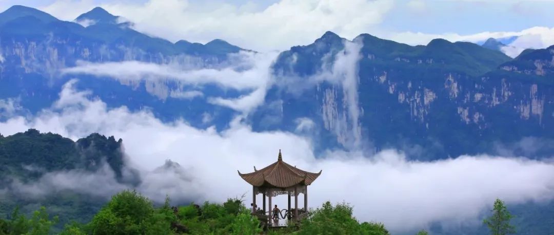 第五届中国自噬研究大会将在湖北恩施举办，诚邀海内外致力于自噬研究人员积极参会，共同交流与合作