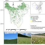 成都生物所尹春英团队在青藏高原天然草地牧草供给功能研究中取得进展
