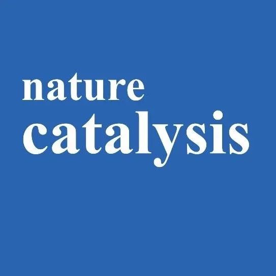 上海师范大学/上海交通大学合作， Nature Catalysis！