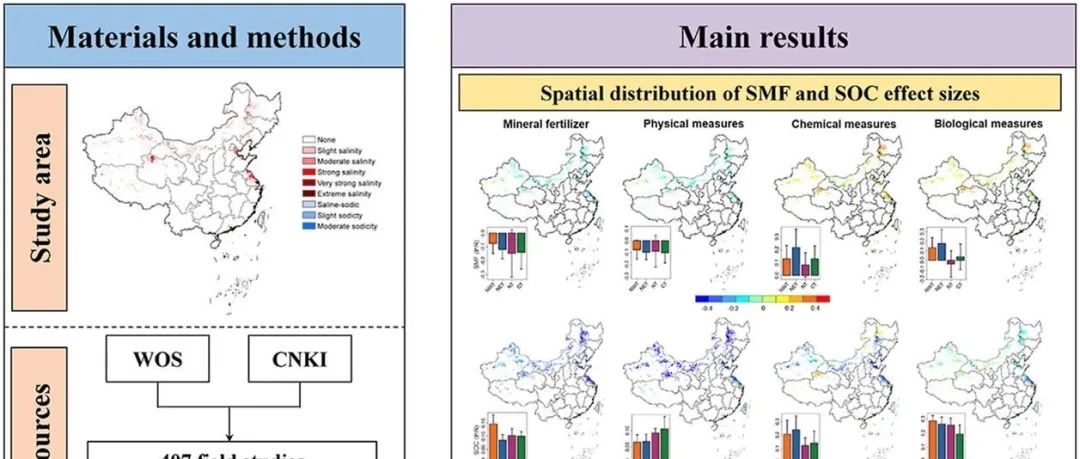 盐碱地改良|Journal of Cleaner Production|中国盐碱地土壤多功能性与碳汇定位优化修复措施