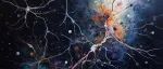 Science｜硬核发现！科学家证实人类海马体神经元晚年持续生成