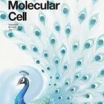 Mol Cell封面文章 | 郑君芳团队揭示YTHDC1乳酸化促进肾癌进展新机制