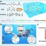 广西民大范玲团队/广西医大靳荣华团队 CEJ：一种具有生物安全性、抗溶胀、抗冻性的氨基酸离子凝胶用于柔性应变传感器
