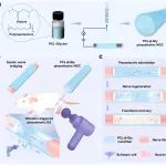 中科院纳米能源所李琳琳 AFM：筋膜枪协助可生物降解压电神经导管促进外周神经修复