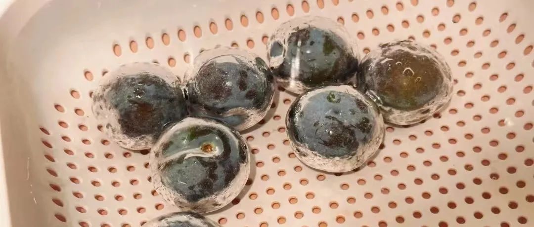 为啥李子洗着洗着表面形成透明球？