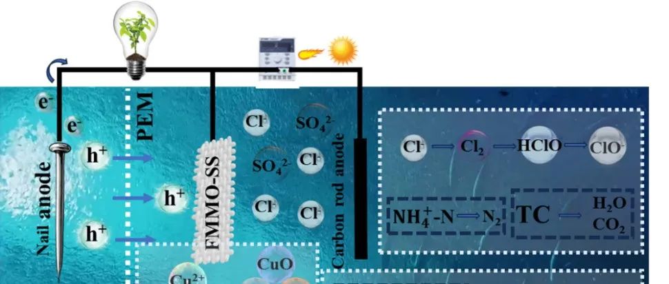 辽宁石油化工大学高常飞WR：光伏驱动“海洋净化器”——一键解决海水养殖废水难题