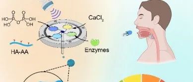 ACS Nano | 口服酶纳米催化剂用于代谢疾病治疗