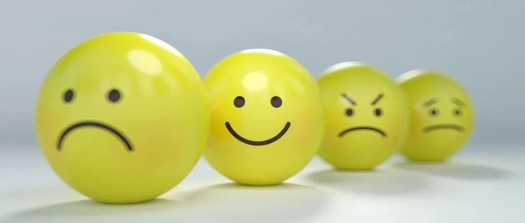 为何乐观者总“所见略同”？悲观者却“思绪万千”？PNAS（9.4）：想象未来时，乐观者神经活动整齐划一，悲观者却缺乏统一性