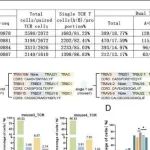 eLife | 遵义医科大学姚新生用scRNA+TCR-seq技术揭示小鼠淋巴和非淋巴组织双TCR Treg细胞的比例和特征