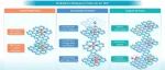 The Innovation Materials | 前沿策略赋能：单原子催化剂实现高效 2e- ORR 的新路径