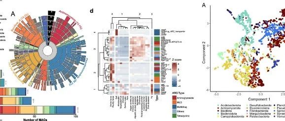 微生物宏基因组分析的代码、软件、笔记全在这里了