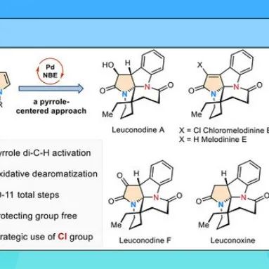 【Angew. Chem.】芝加哥大学董广彬：Leuconoxine类吲哚生物碱的高效全合成