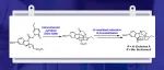 【JACS】贝勒大学John L. Wood：Erchinines A 和 B 及其 C20 差向异构体的汇聚式全合成