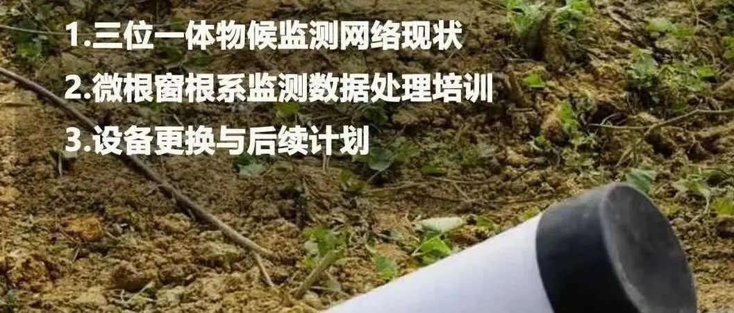 【公益培训课】四川大学生命科学学院陈磊课题组发起，7月25日