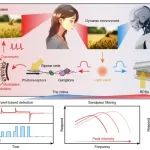 国科大黄辉教授团队：类视网膜光电二极管 | Nature Nanotechnology！