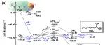 广东工业大学安太成团队npj CAS：醇控制的单羰基化合物低聚机制——对细颗粒物爆发性增长的影响